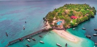 Discover the historic charm of Prison Island Zanzibar, just off the coast of Stone Town