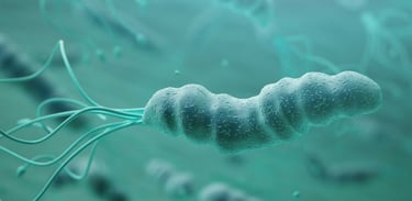 h. pylori