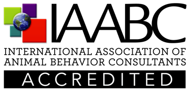 Pablo Cappa Entrenador Canino IAABC