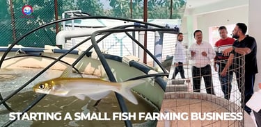 Starting a small fish farming business
