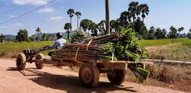 Countryside Cambodia