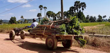 Countryside Cambodia