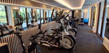 Modern gym at Villa El Rincon with garden views