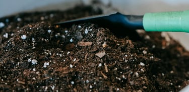 Houseplant soil mix