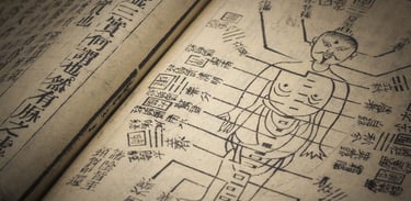 les méridiens en médecine traditionnelle chinoise