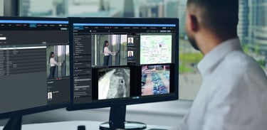 La importancia de un control de acceso y la videovigilancia.