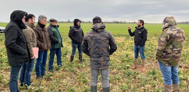 formation transition et changement climatique