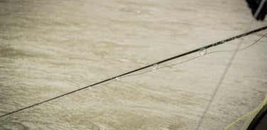 Winter fishing on the South Holston and Watauga River