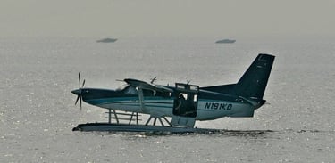 Seaplane Tourism in Kerala: Soaring Over Scenic Waterways for a New Travel Experience