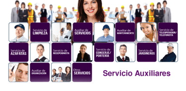 Servicios Auxiliares