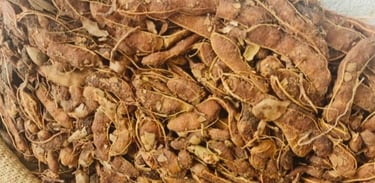 Wild Harvested Tamarind with Seed from Tribal Villages of India β RATHORE EXIM