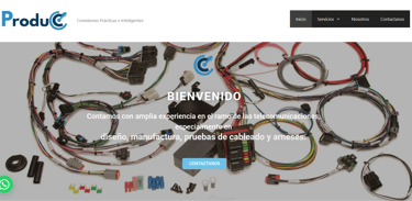 sitio web creado con wordpress