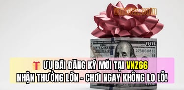 Khuyến mãi chào mừng hấp dẫn cho người chơi mới tại VNZ66
