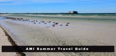 ami-summer-travel-guide