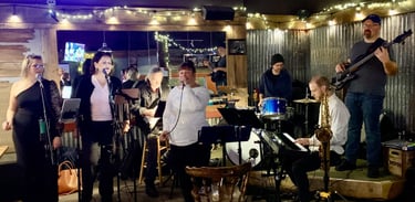 Birds of a feather band performing on stage