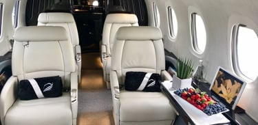 Luxury private jet interior featuring plush leather seats, in-flight entertainment, and premium catering. Designed for VIP tr