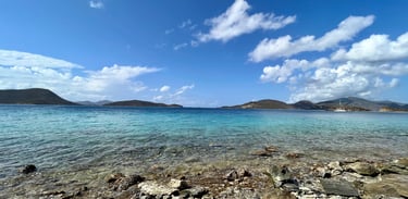 a view of a Virgin Islands rocky beach with a clear blue sky
