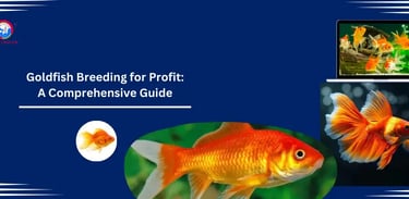 Goldfish Breeding for Profit: A Comprehensive Guide