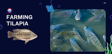Everything You Need to Know About Farming Tilapia
