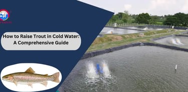 How to Raise Trout in Cold Water: A Comprehensive Guide