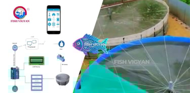 The future of fish farming