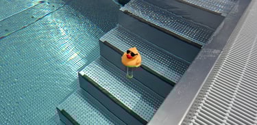 Badeente im Pool