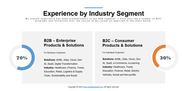 Experience by Industry Segment - Sandipan Banik - www.sandipanbanik.com