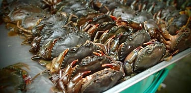 vietnamese crab supplier