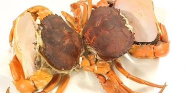 double skinned crabs