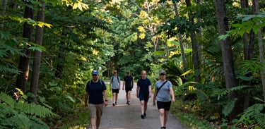 A wide-angle photography shot of a community wellness walk on a paved trail through a lush, green Michigan forest. The sunlight filters through the trees, casting a warm glow. North American / Michigan US.