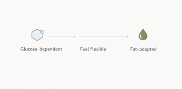 fat-vs-glucose-metabolic-fuel