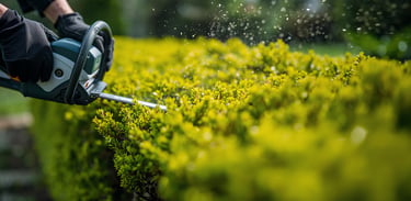 Close-up of professional hedge trimming with precise cuts and clean landscaping
