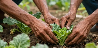 A close-up of residents' hands working together in an organic vegetable garden in Brazil, symbolizing growth and the therapeutic value of labor.