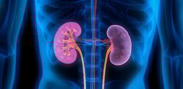 Acido urico alto: cause principali e rimedi naturali per abbassarlo.