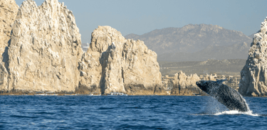 Baleia saltando em frente ao Arco de Cabo San Lucas, México.