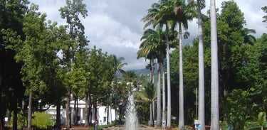 Jardins de État em Saint-Denis com vegetação exuberante e caminhos arborizados.