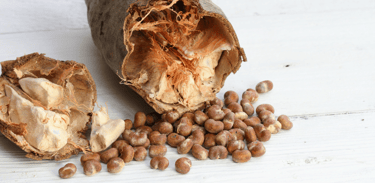 Des graines de baobab