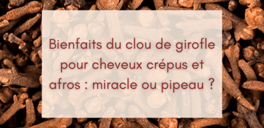 Bienfaits du clou de girofle pour cheveux crépus et afros : miracle ou pipeau ?