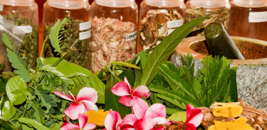 Des plantes séchées dans des bocaux sur une table