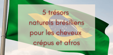 5 trésors naturels brésiliens pour les cheveux crépus et afros