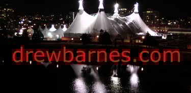 Life can be a circus!