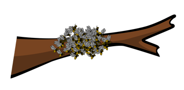 Récupération essaims abeilles Yvelines