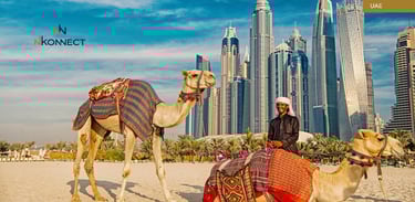 24 Hours in the UAE