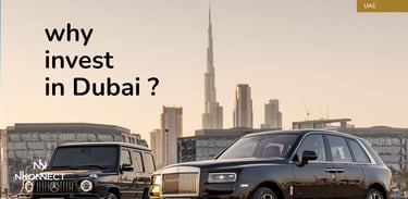 why invest in dubai