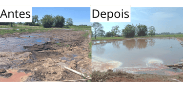 resultado biorremediador