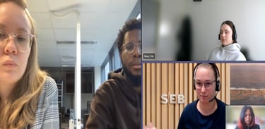 Друга відео конференція дослідників з консультантами SEB