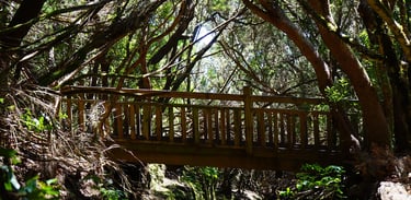 Vista panorámica de Taganana y la playa de Benijo en el Parque Rural de Anaga, Tenerife, ideal para rutas en furgoneta camper
