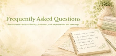 Hot Cross Buns' Frequently Asked Questions Banner