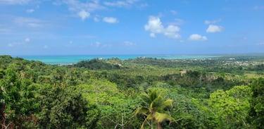 Ley Confotur: Guía para Invertir en República Dominicana