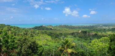 Un cadre sécurisé et transparent pour les investisseurs internationaux